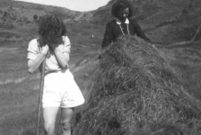 314: l-r Anne McCarthy and Marg Ryan turning the hay. The road to Margaries Cove is in the background. (circa 1943)  - Anne daughter of James McCarthy &amp;amp; Julia Reddy; Marg daughter of Denis Ryan &amp;amp; Mary Dunphy
